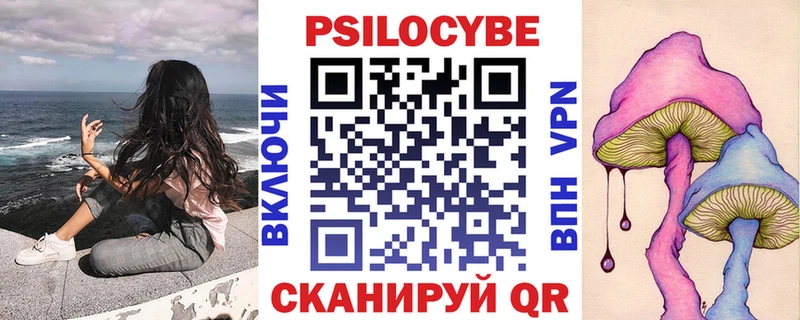 Псилоцибиновые грибы Psilocybe  Саратов 