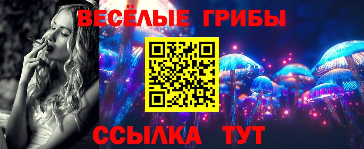 Галлюциногенные грибы Cubensis  Вход с VPN  Саратов  хочу   Галлюциногенные грибы MAGIC MUSHROOMS 